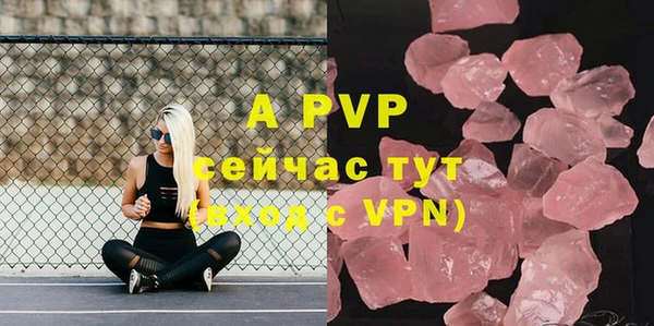 ПСИЛОЦИБИНОВЫЕ ГРИБЫ Абаза