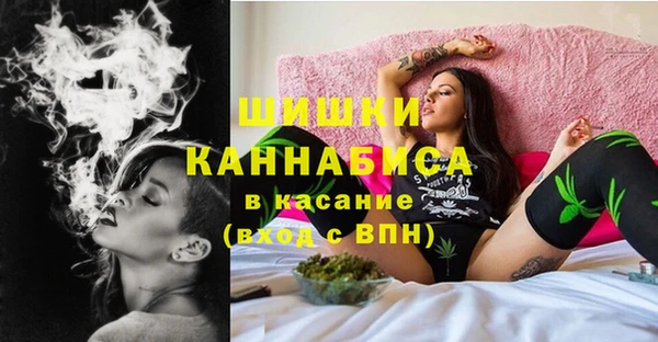 ПСИЛОЦИБИНОВЫЕ ГРИБЫ Абаза