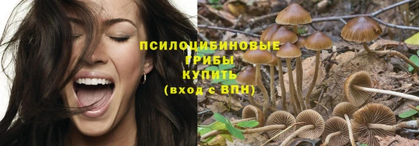ПСИЛОЦИБИНОВЫЕ ГРИБЫ Абаза